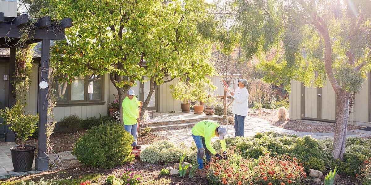 landscape-maintenance-la-canada-ca004