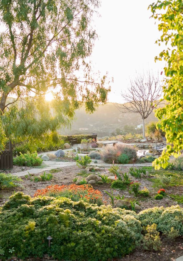 Woodside, California Landscaping Services